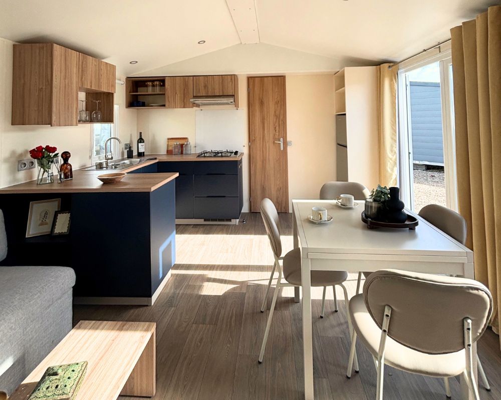 mobil-home neuf IRM Violette 2026 à vendre, salon