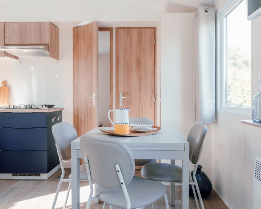 Mobil-home neuf IRM Azalée du côté de Fort Mahon, salon